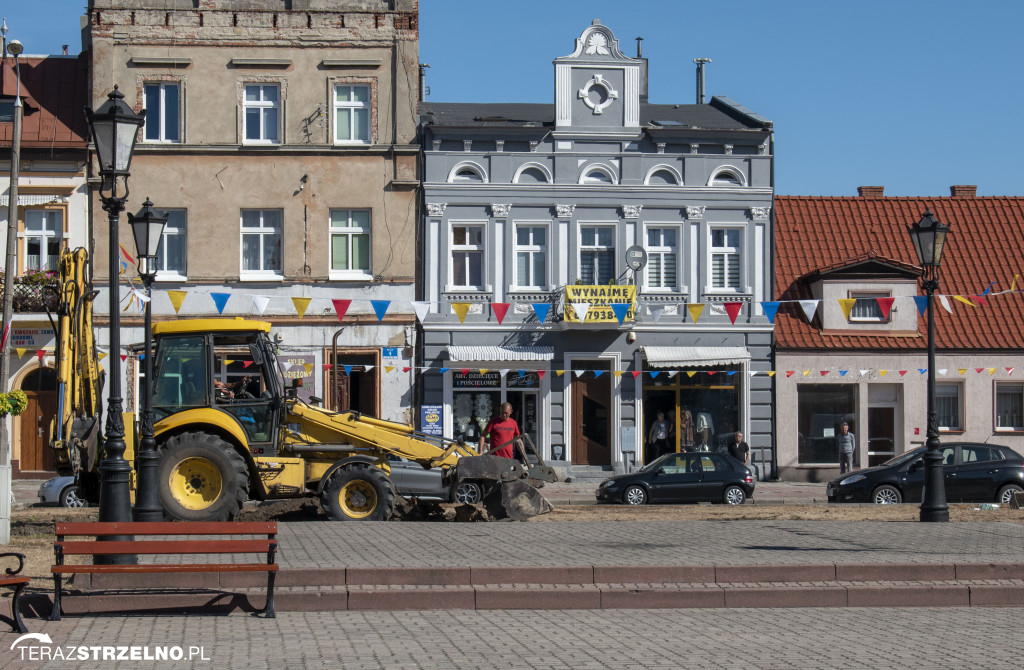 Firma z Jacewa rozpoczęła prace  porządkujące zieleń na terenie Rynku w Strzelnie