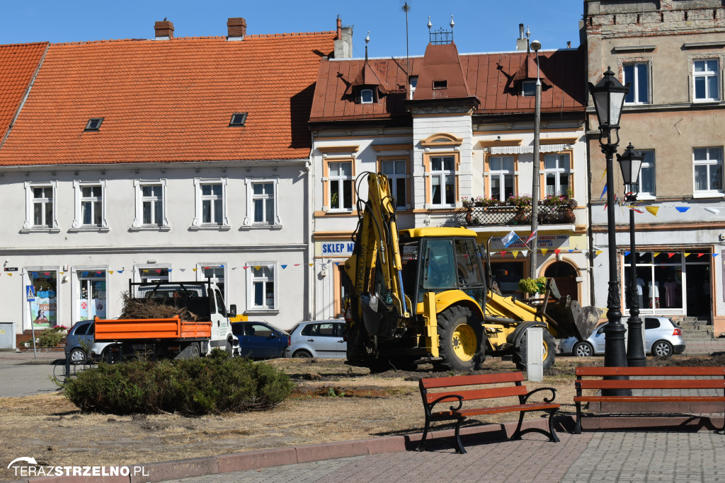 Firma z Jacewa rozpoczęła prace  porządkujące zieleń na terenie Rynku w Strzelnie