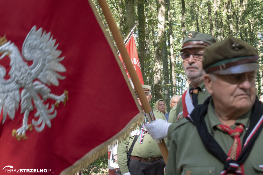 Uroczystości w Ciencisku, poświęcenie Krzyża Harcerskiego