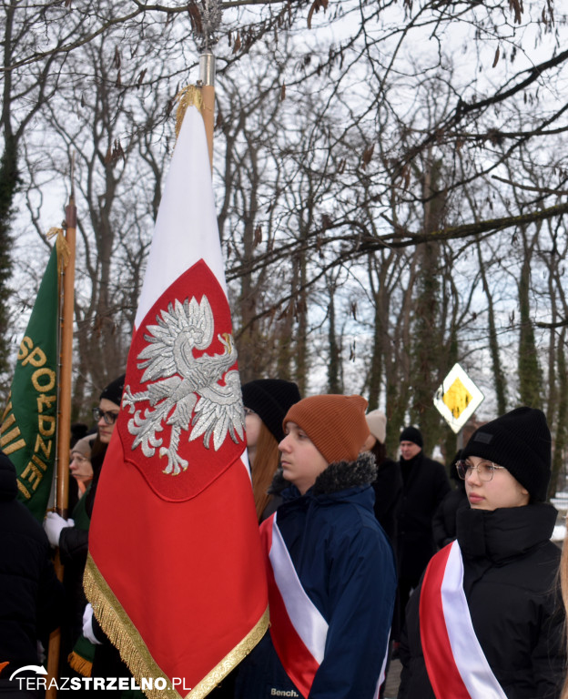 Uroczystości wyzwolenia Strzelna spod niemieckiej okupacji