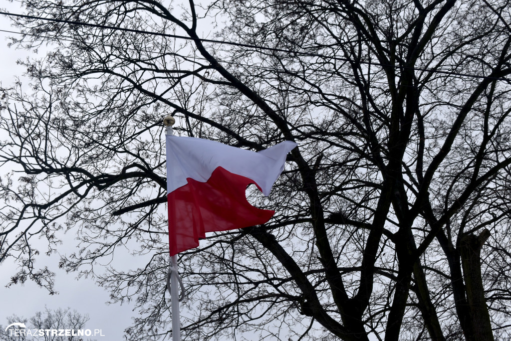 Uroczystości wyzwolenia Strzelna spod niemieckiej okupacji