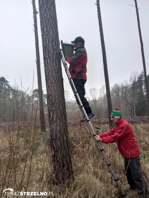 Strzeleńscy harcerze dbają o przyrodę