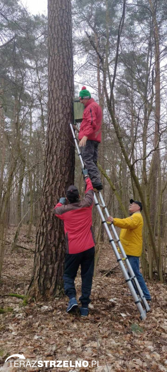 Strzeleńscy harcerze dbają o przyrodę