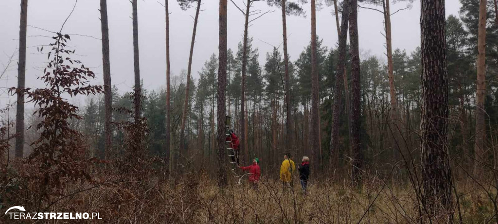 Strzeleńscy harcerze dbają o przyrodę