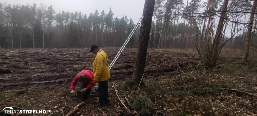 Strzeleńscy harcerze dbają o przyrodę