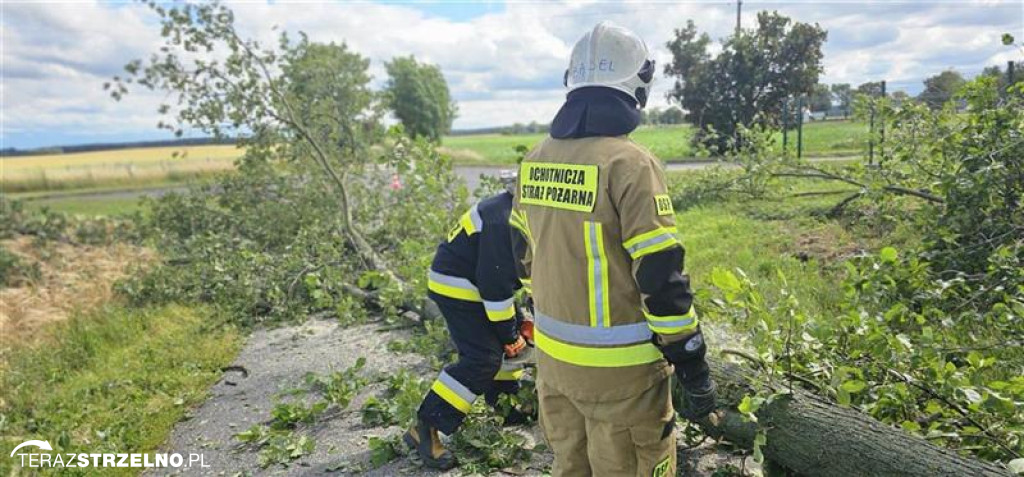 Strażacy z interwencją: Strzelno Klasztorne, Młynice, Ulica Miradzka i Ciechrz