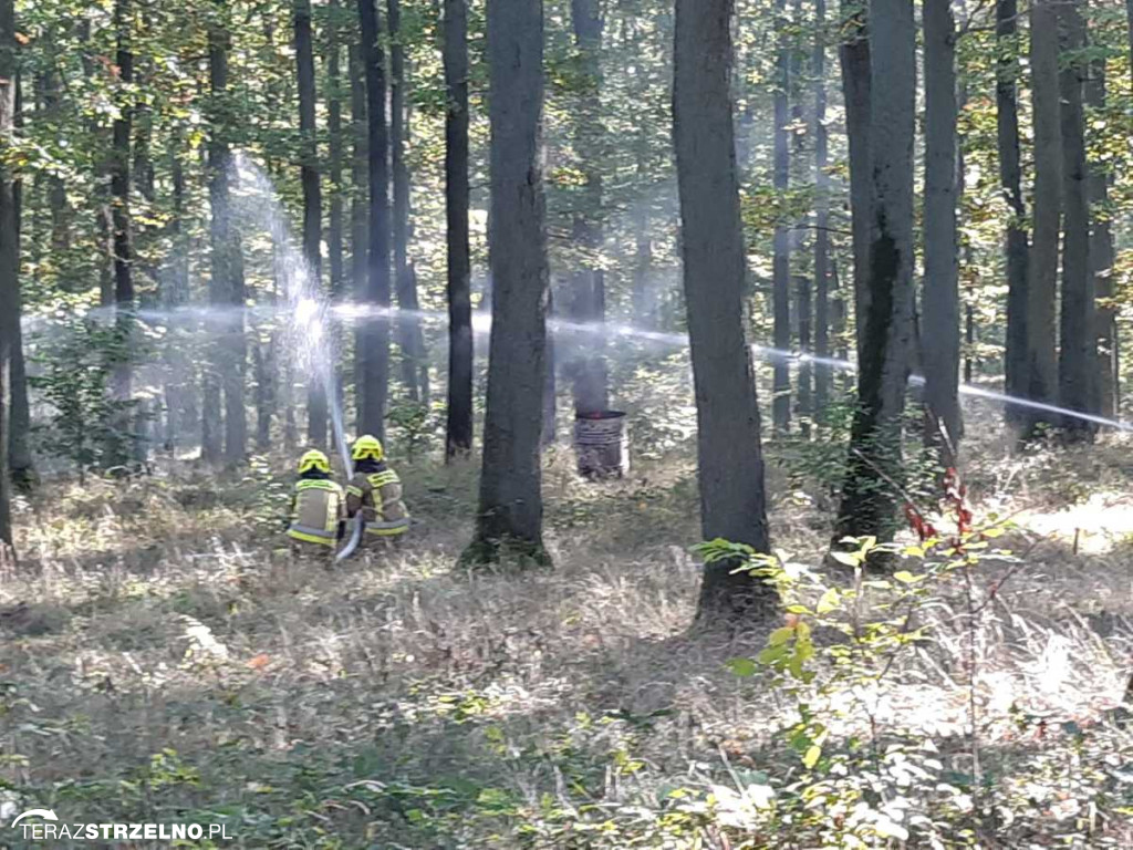 Ważne ćwiczenia na granicy powiatów  „Pałuki i Kujawy 2024