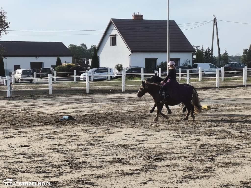 Tak wyglądał Hubertus w Stajni Łąkie [ZDJĘCIA]