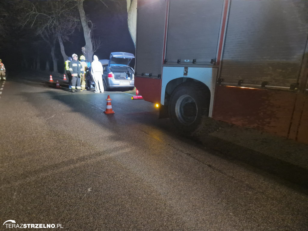 Samochód uderzył w drzewo w Zofijówce. Interweniowały służby