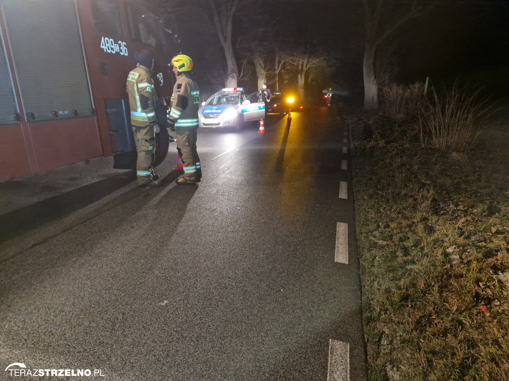 Samochód uderzył w drzewo w Zofijówce. Interweniowały służby