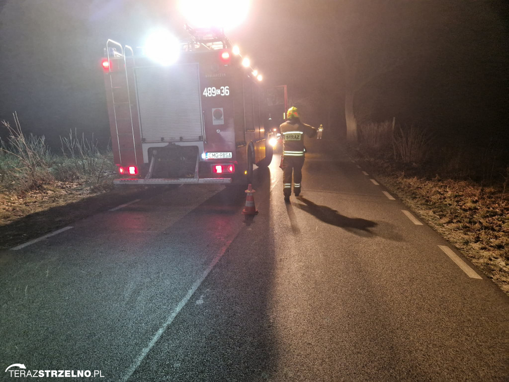 Samochód uderzył w drzewo w Zofijówce. Interweniowały służby