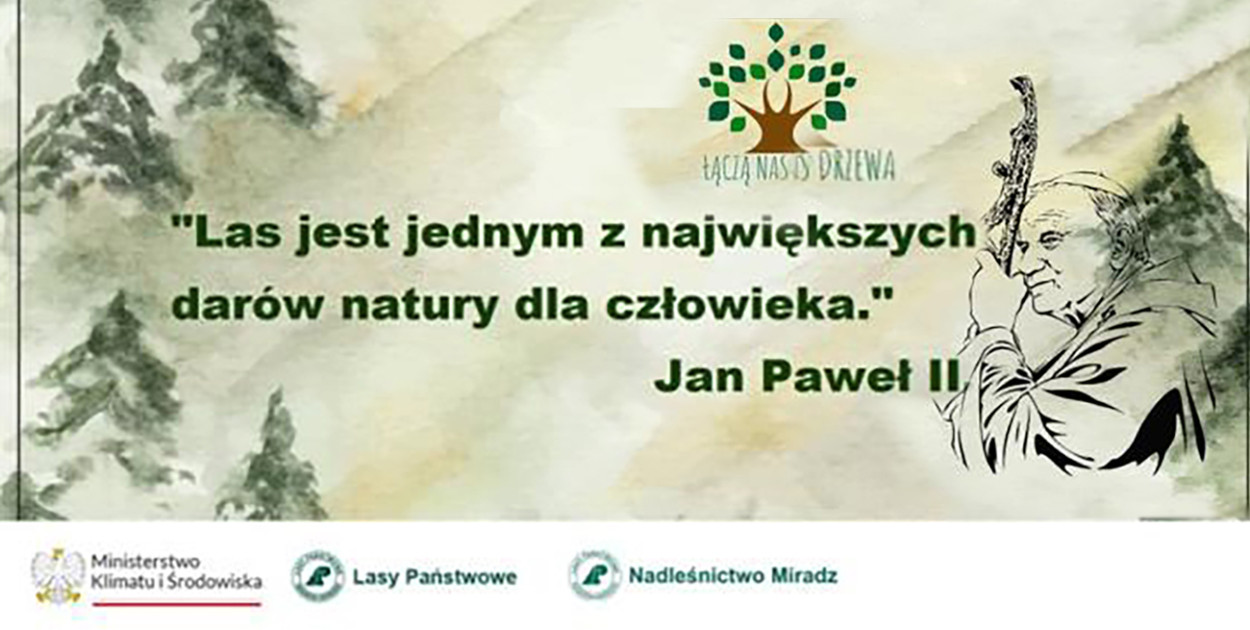 Nadleśnictwo Miradz