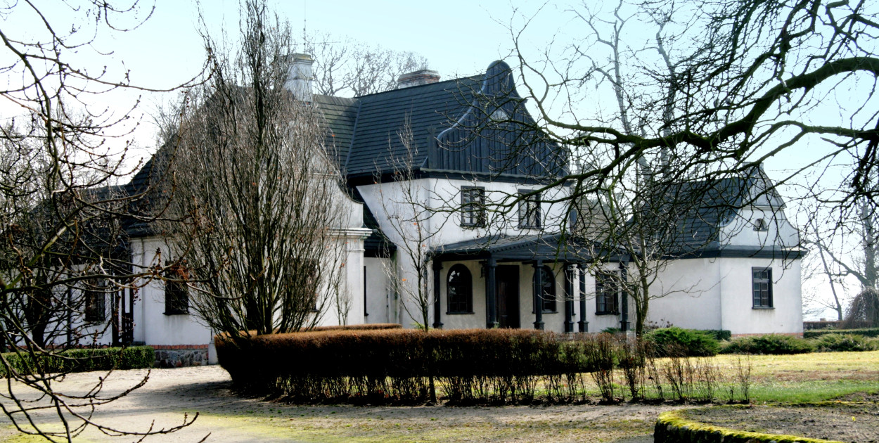 blog M. Przybylski