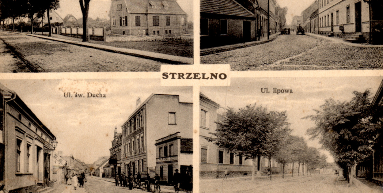 blog M. Przybylski