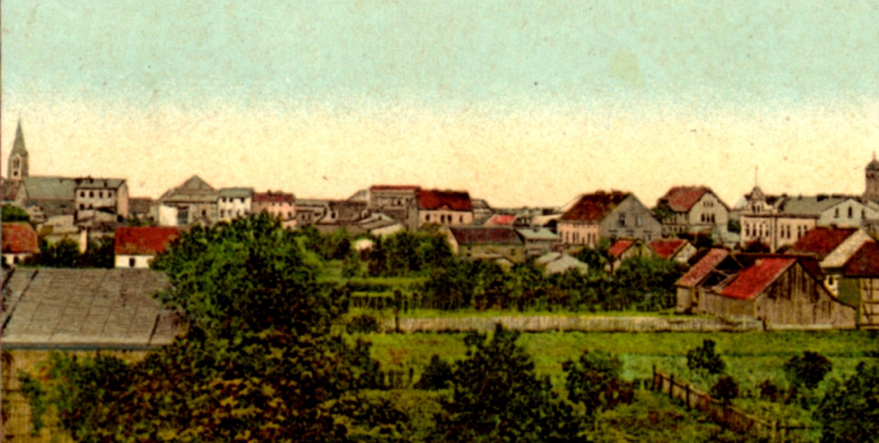 blog M. Przybylski