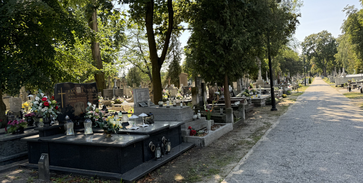 Fot. ddwloclawek.pl / siecportali.pl