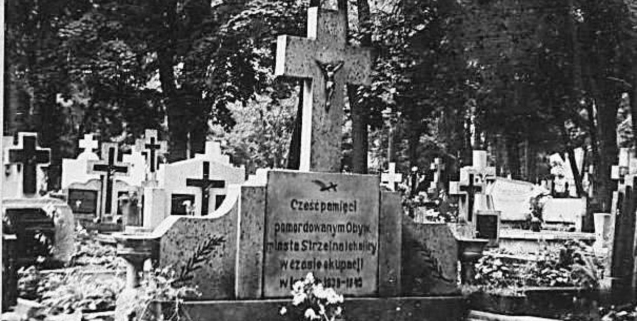 blog M. Przybylski