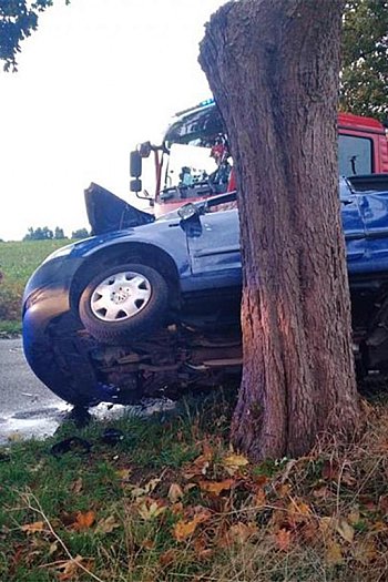 Samochód osobowy uderzył w drzewo na drodze powiatowej w Lubieszewie-501