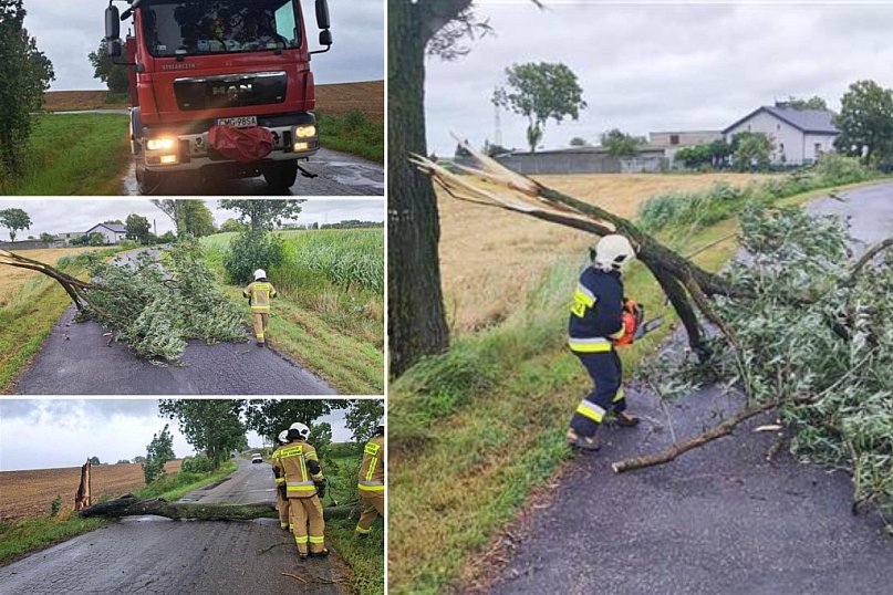 Strażacy z interwencją: Strzelno Klasztorne, Młynice, Ulica Miradzka i Ciechrz