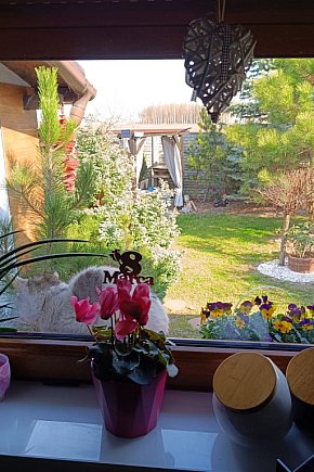 Dom w cenie mieszkania – gotowy do zamieszkania, z jacuzzi i ogródkiem w Chrośnie!-1001