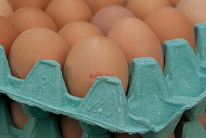 Salmonella na jajach znanej marki. Nie jedz, jeśli masz je w lodówce!-12041