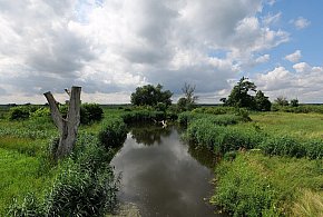 Co dalej z nowym parkiem narodowym? Minister klimatu zdradza plan po wecie-12866