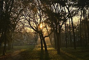 Nadchodzi najkrótszy dzień w 2025 roku. Sprawdź, kiedy przypadnie-13099