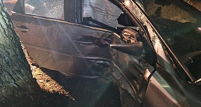 Samochód uderzył w drzewo w Zofijówce. Interweniowały służby