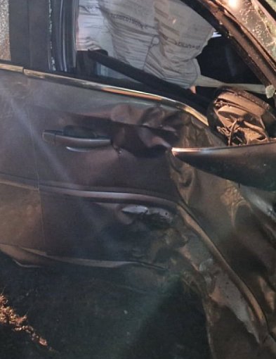 Samochód uderzył w drzewo w Zofijówce. Interweniowały służby-13163