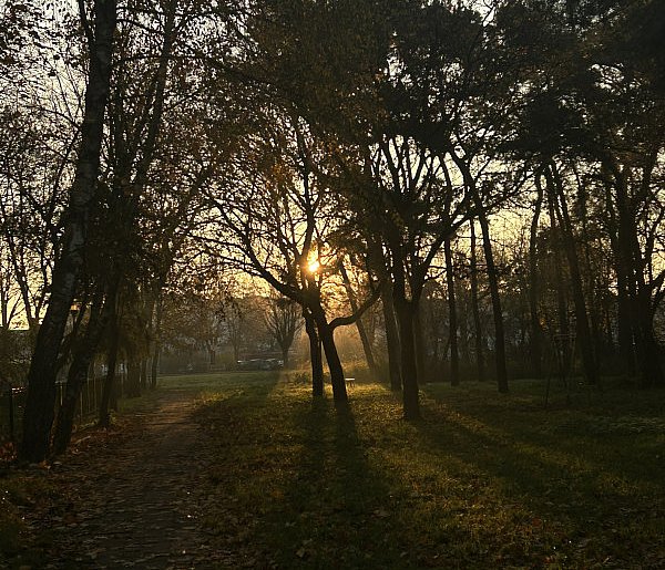Nadchodzi najkrótszy dzień w 2025 roku. Sprawdź, kiedy przypadnie-13099