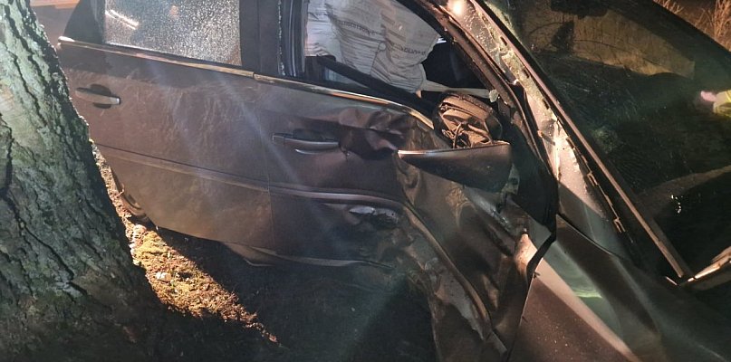 Samochód uderzył w drzewo w Zofijówce. Interweniowały służby - 13163