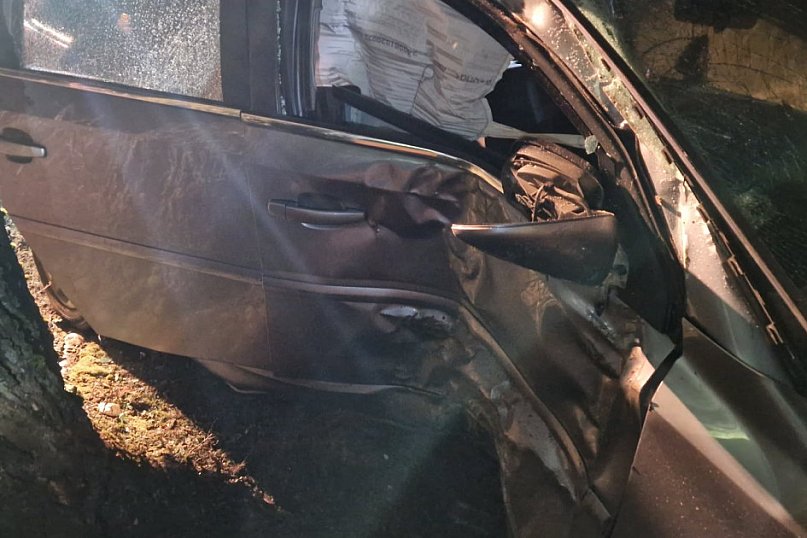 Samochód uderzył w drzewo w Zofijówce. Interweniowały służby